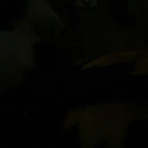 Meet your Posher, Jayde